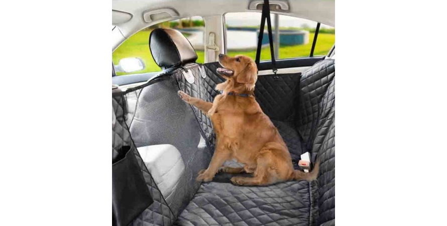 Mata dla psa - niezbędny gadżet w każdym samochodzie